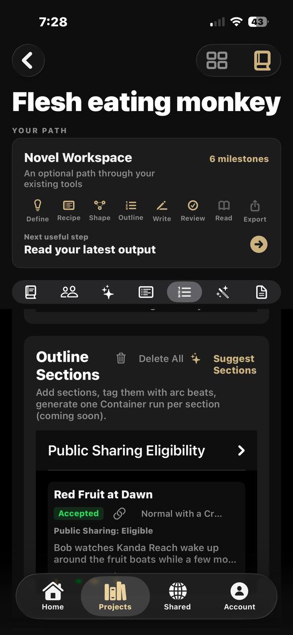 StoryDonkey novel workspace showing outline sections